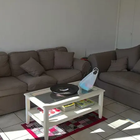 41 Rue Du Doctor Albert Tomey Apartment